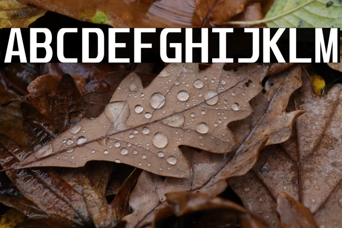 Unispace-Bold Example 3