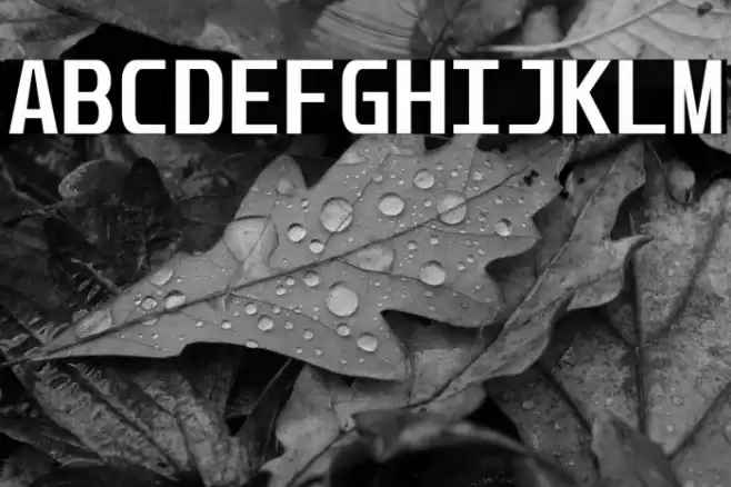 Unispace-Bold Font examples