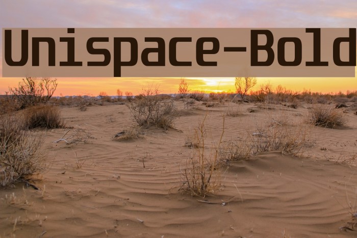 Unispace-Bold Font examples