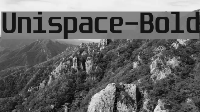 Unispace-Bold Font examples