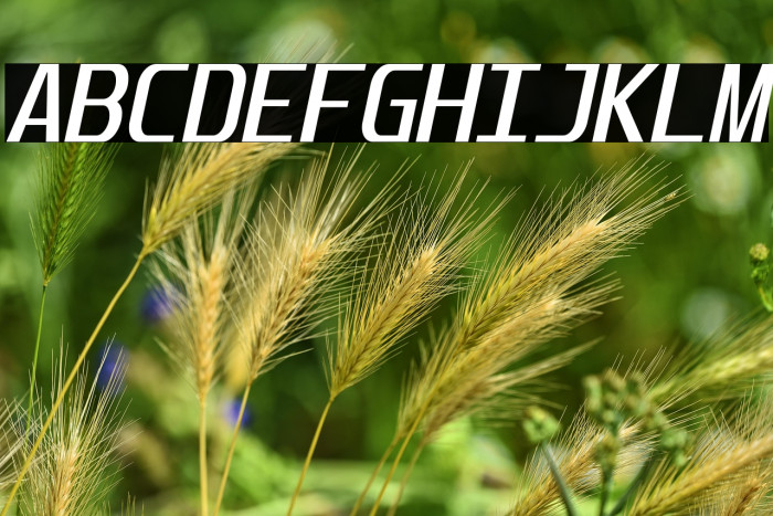 Unispace-Italic Example 1