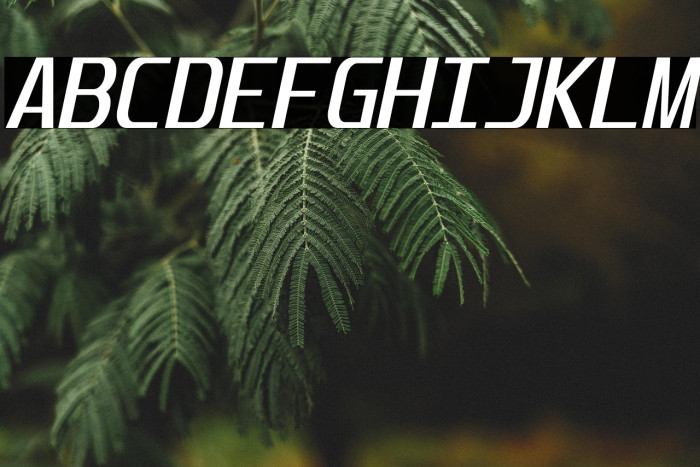 Unispace-Italic Example 2