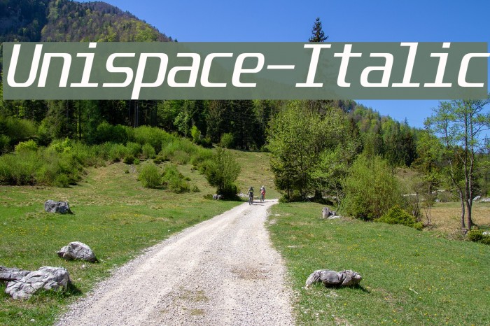 Unispace-Italic Font examples