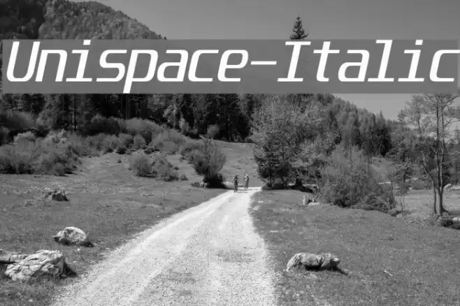 Unispace-Italic फ़ॉन्ट examples