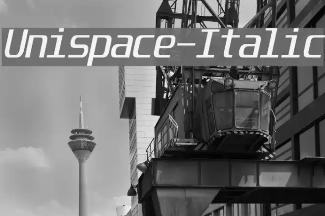 Unispace-Italic फ़ॉन्ट examples