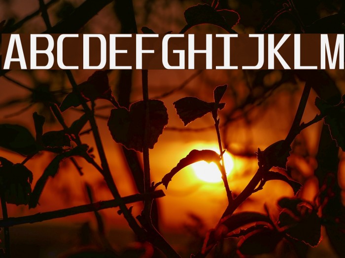 Unispace Font examples