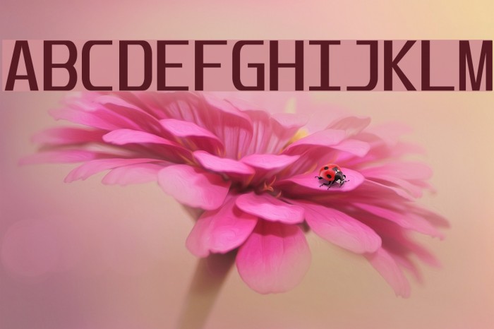 Unispace Font examples