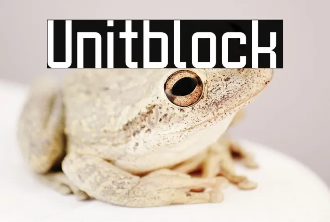 Unitblock Example 2