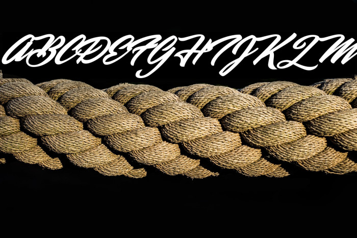 United Forces Personal Use Regular Example 3