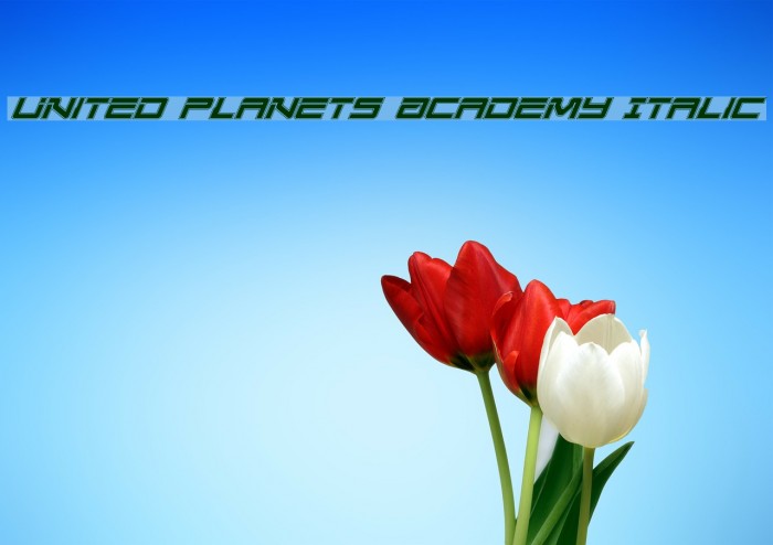 United Planets Academy Italic Font examples