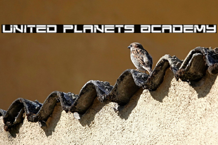 United Planets Academy Example 1