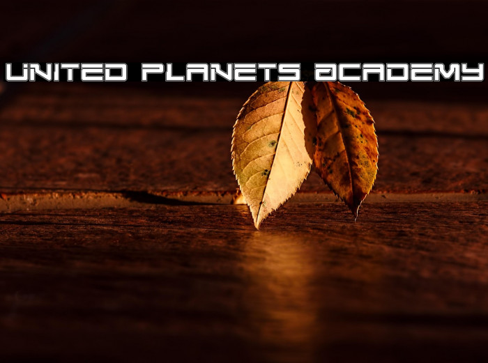 United Planets Academy Example 3
