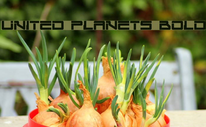 United Planets Bold Example 1