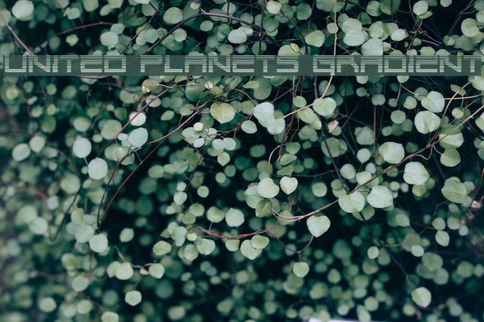 United Planets Gradient Example 1