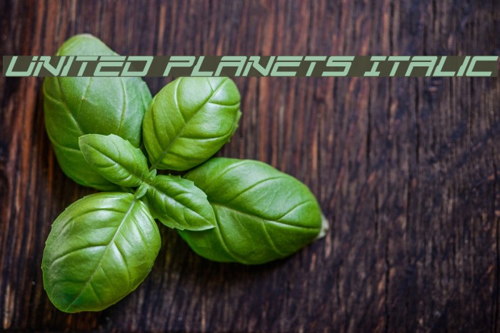 United Planets Italic Font examples