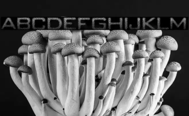 Unity Dances Font examples