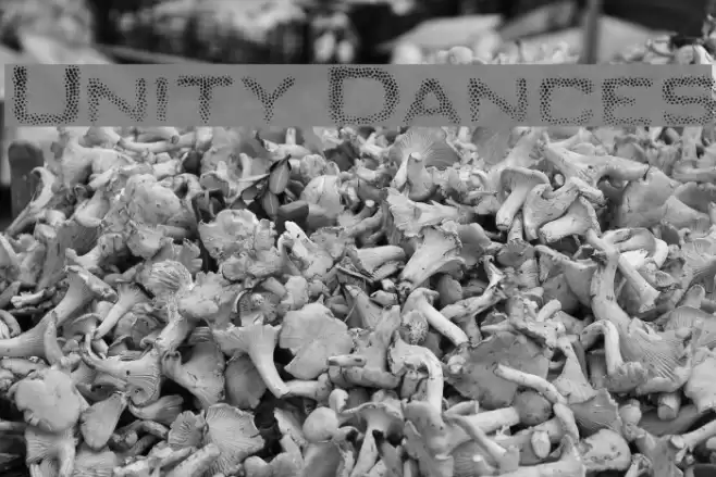 Unity Dances Font examples