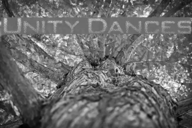 Unity Dances Font examples