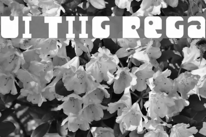 Unity Titling Regular フォント examples
