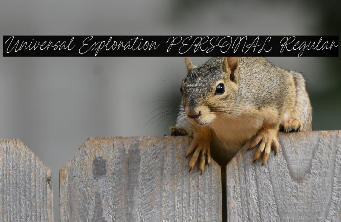 Universal Exploration PERSONAL Regular Example 3