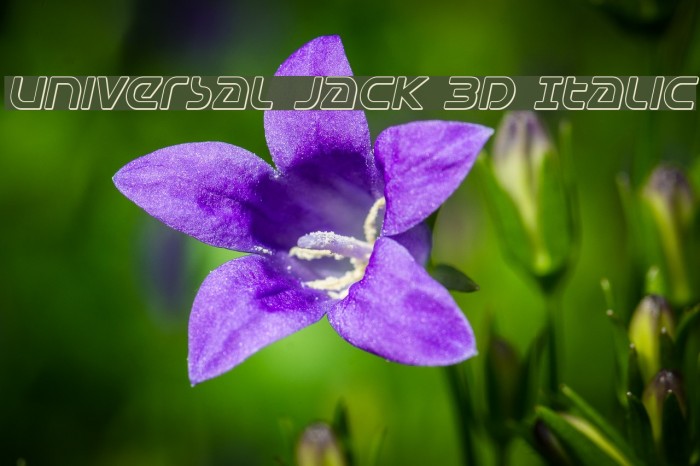 Universal Jack 3D Italic Font examples