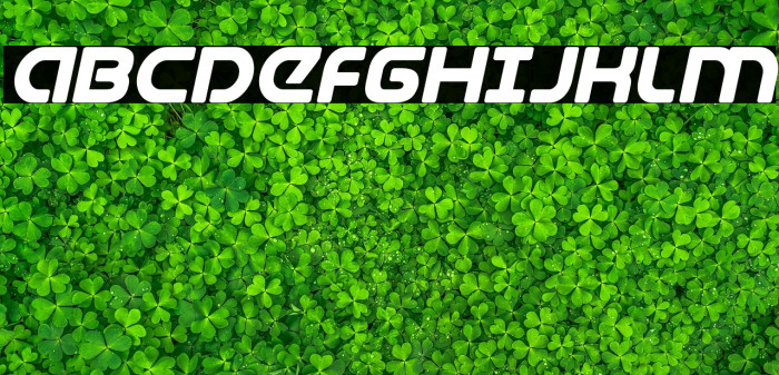 Universal Jack Bold Italic Example 1