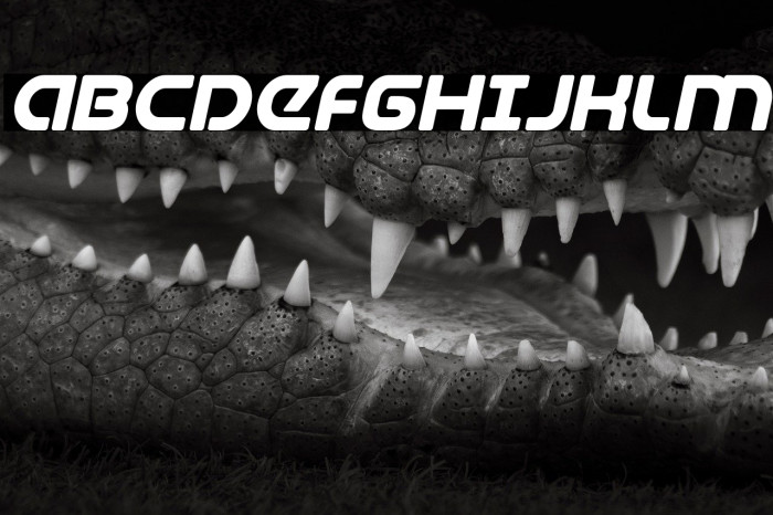 Universal Jack Bold Italic Example 2