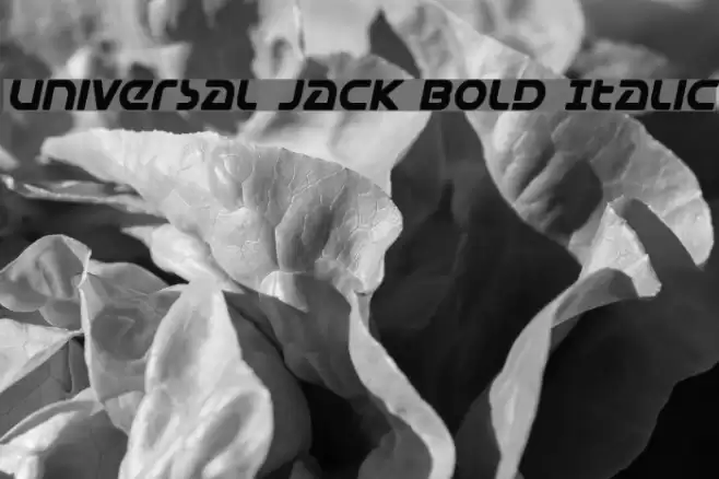 Universal Jack Bold Italic Font examples
