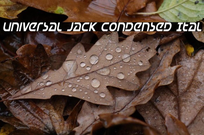 Universal Jack Condensed Ital Example 1