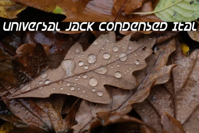 Universal Jack Condensed Ital Example 1