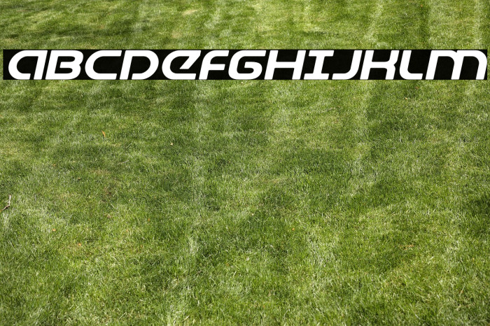 Universal Jack Expanded Italic Example 1