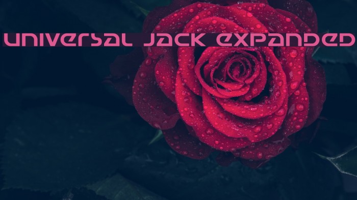Universal Jack Expanded Font examples