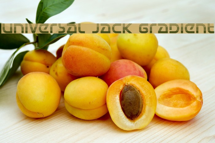 Universal Jack Gradient Шрифта examples
