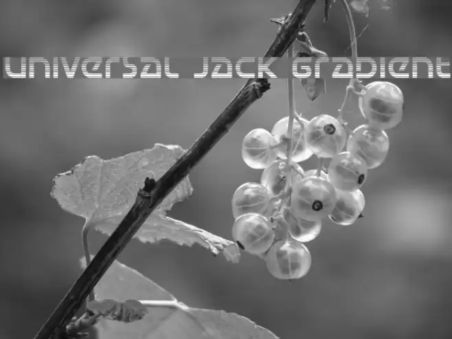 Universal Jack Gradient Font examples