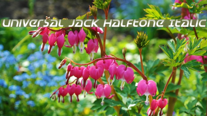 Universal Jack Halftone Italic Example 1