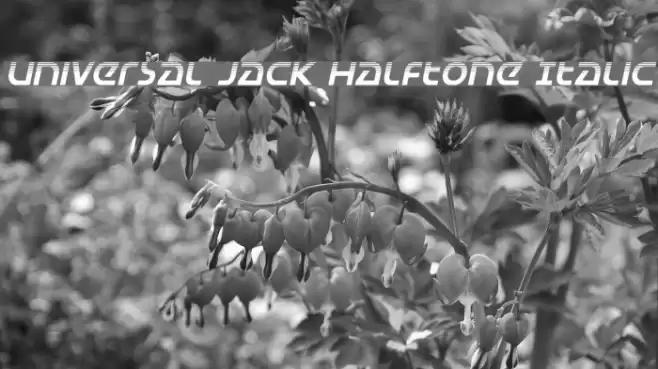 Universal Jack Halftone Italic Font examples