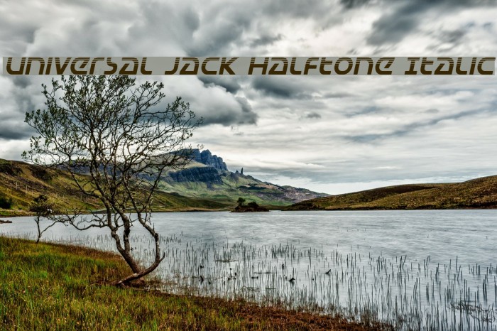 Universal Jack Halftone Italic Example 3