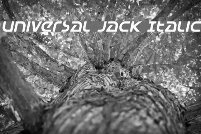 Universal Jack Italic フォント examples