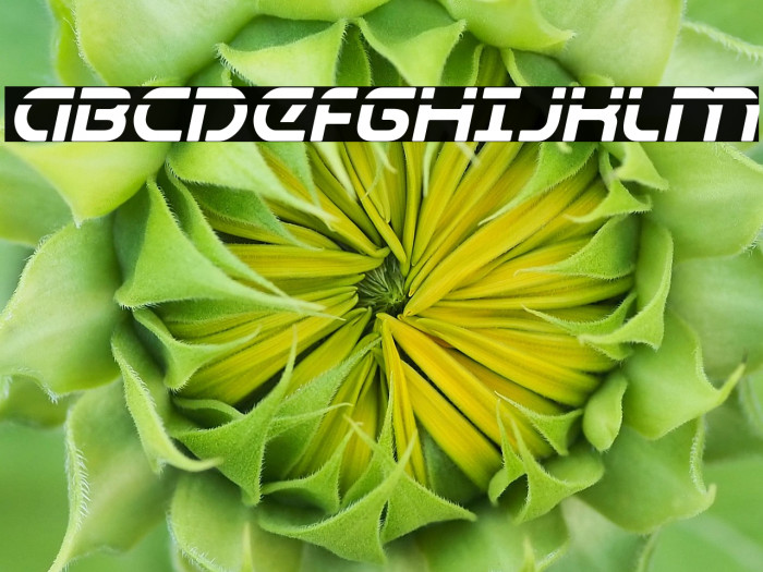 Universal Jack Laser Italic Example 2