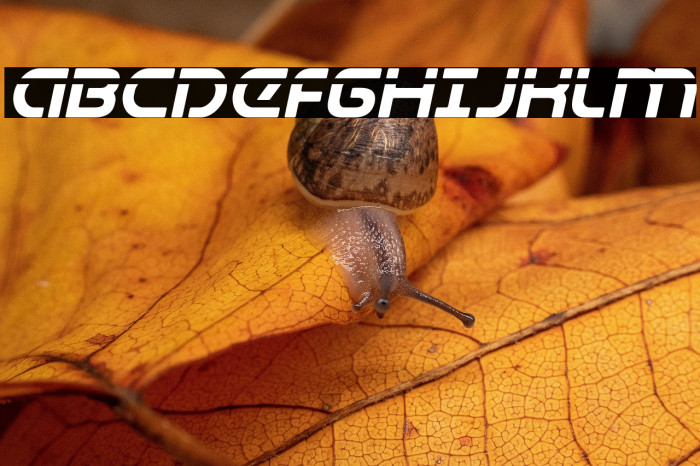 Universal Jack Laser Italic Example 3