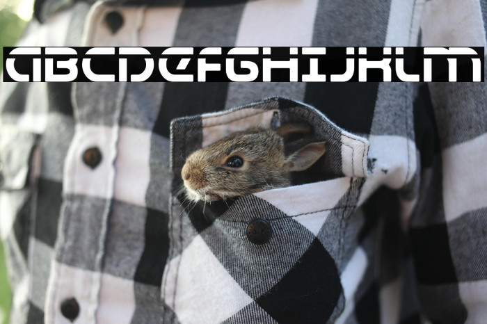 Universal Jack Laser Example 3