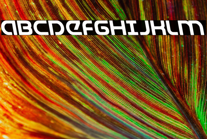 Universal Jack Leftalic Example 2