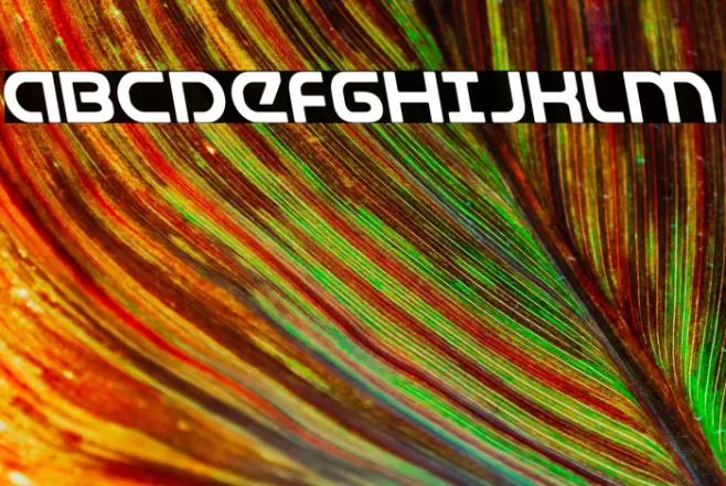 Universal Jack Leftalic Example 2