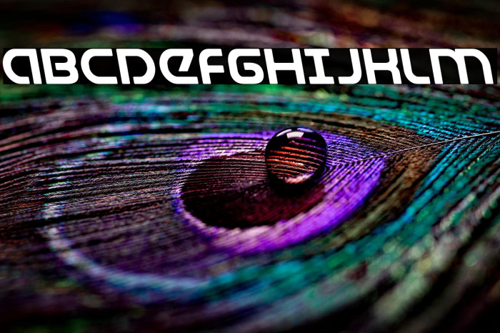 Universal Jack Leftalic Example 3