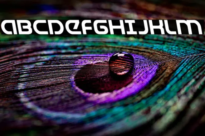 Universal Jack Leftalic Example 3