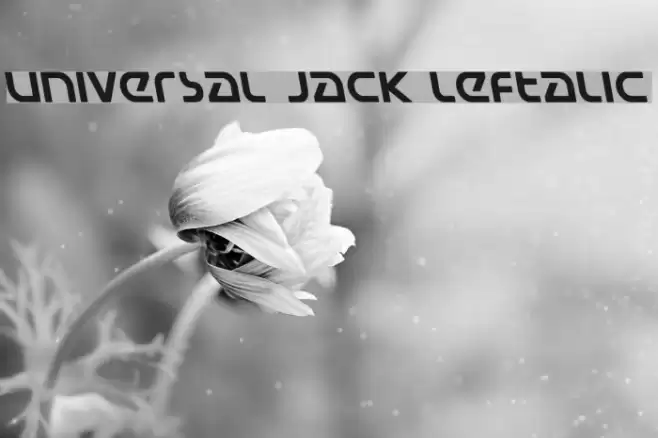 Universal Jack Leftalic Font examples