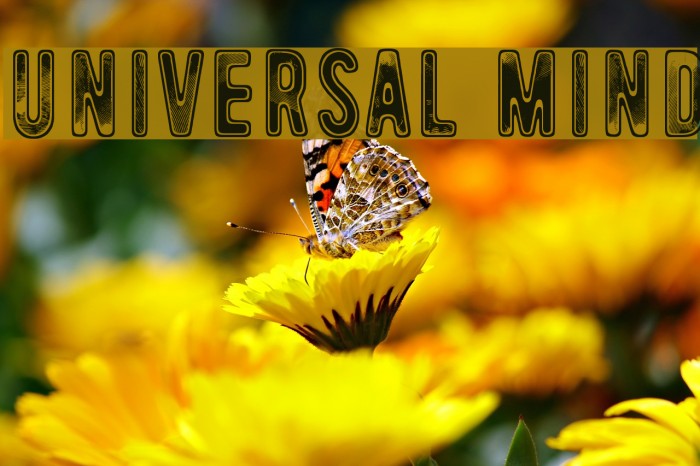 Universal Mind Font examples