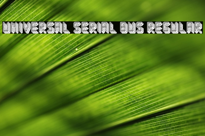 Universal Serial Bus Regular Example 1