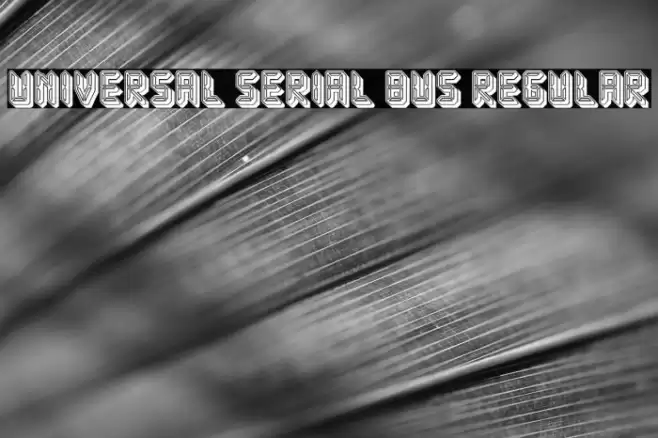 Universal Serial Bus Regular Font examples