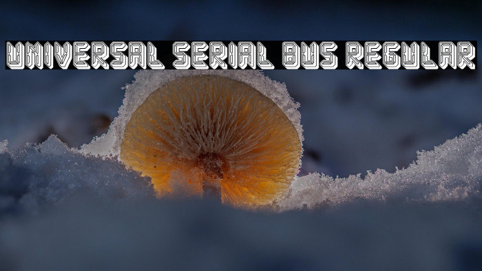 Universal Serial Bus Regular Example 2